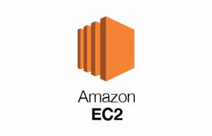 Ingest cloud assets into the Hive Pro platform to perform vulnerability assessment and track vulnerabilities (AWS EC2)